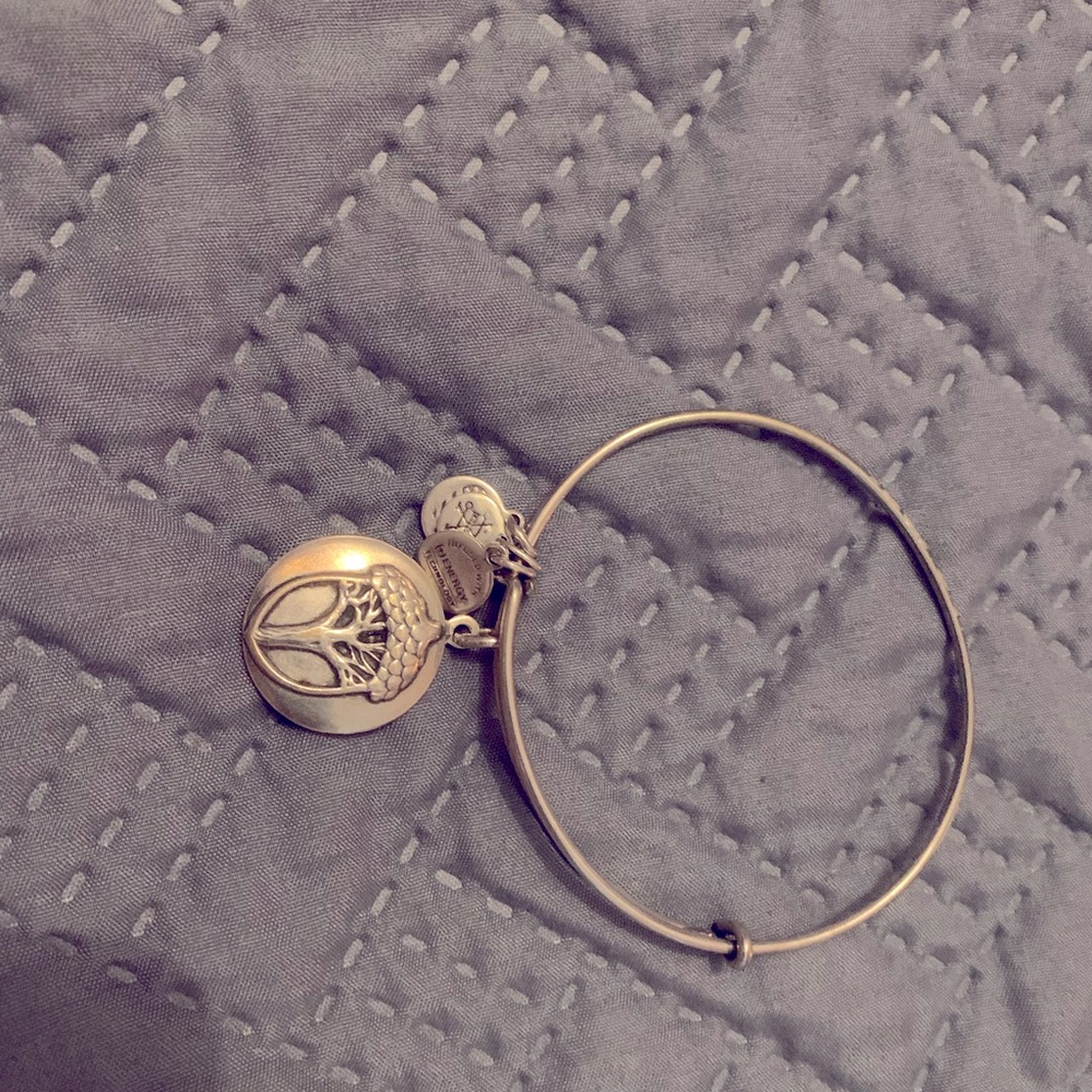 Alex and Ani silver bracelet